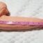13 Inch Realistic Big Anal Dildo with Small Glans